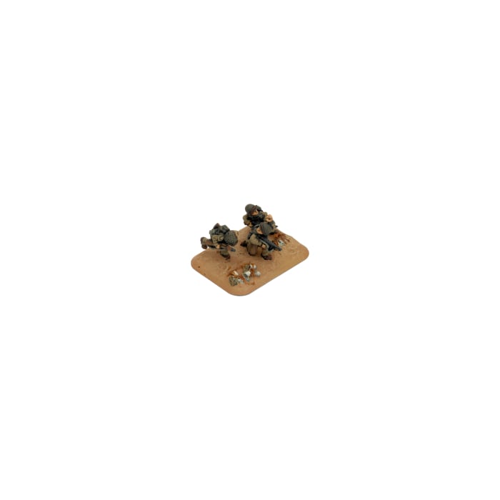 Assault Company (Late War x88 Figures)